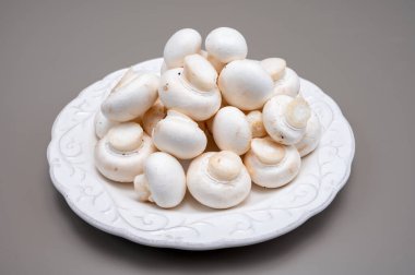 Beyaz şampiyon mantarları taze pişmemiş beyaz seramik plaka fotokopi alanı gri arka planda