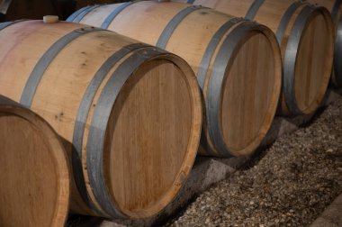 WIne celler with french oak barrels for aging of red wine made from Cabernet Sauvignon grape variety, Haut-Medoc vineyards in Bordeaux, left bank of Gironde Estuary, Pauillac, France clipart