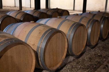 Cabernet Sauvignon üzüm bağlarından üretilen kırmızı şarap fıçıları için Fransız meşe fıçıları, Bordeaux 'daki Haut-Medoc üzüm bağları, Gironde Estuary' nin sol yakası, Pauillac, Fransa