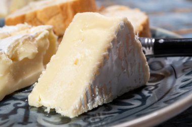 Fransız peyniri, orijinal Camembert de Normandie peyniri, parça, beyaz küfle yakın plan.