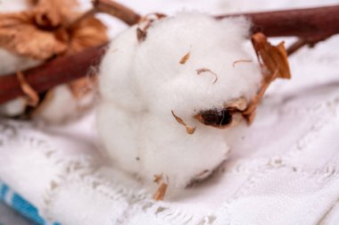 Yumuşak doğal lif mutfak ve organik beyaz pamuk tokalarından yapılmış yatak tekstili.