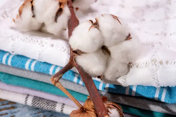 Soft natural fiber kitchen and bed textile made from organic white cotton bolls close up
