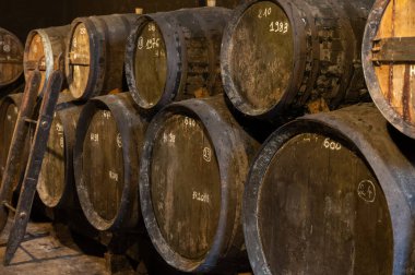 Eski koyu Fransız meşe fıçılarında konyak ruhunun yaşlanma süreci içki imalathanesinde, konyak beyaz şarap bölgesinde, Charente, Segonzac, Grand Champagne, Fransa