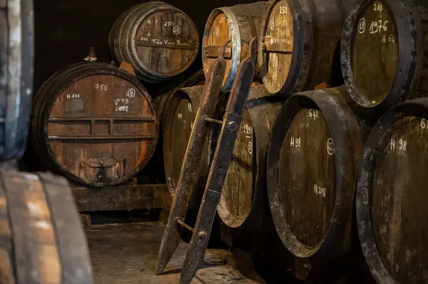 Aging process of cognac spirit in old dark French oak barrels in cellar in distillery house, Cognac white wine region, Charente, Segonzac, Grand Champagne, France