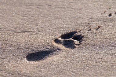 Gün batımında kumlu sahilde ayak izleri, kapanan ayak izleri