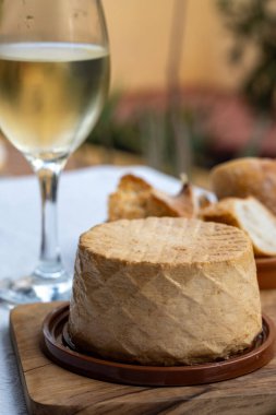 Peynir koleksiyonu, taze tütsülenmiş İspanyol keçi peyniri.