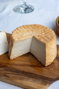 Peynir koleksiyonu, taze tütsülenmiş İspanyol keçi peyniri.