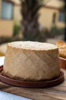 Peynir koleksiyonu, taze tütsülenmiş İspanyol keçi peyniri.