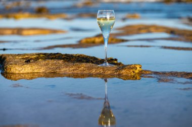 Bir bardak kava ya da şampanya köpüklü şarap, kış tatili, Dunes Corralejo kumsalında gelgit, Fuerteventura, Kanarya Adaları, İspanya