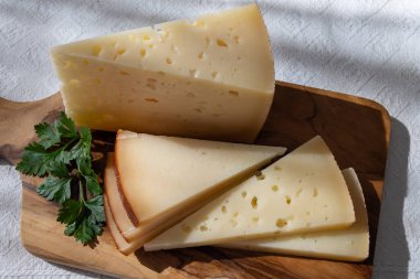 İspanyol sert manchegosu, inek, koyun ve keçi peyniri Yaklaş