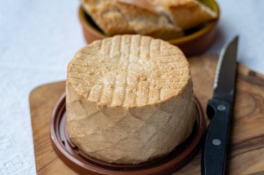 Peynir koleksiyonu, taze tütsülenmiş İspanyol keçi peyniri.