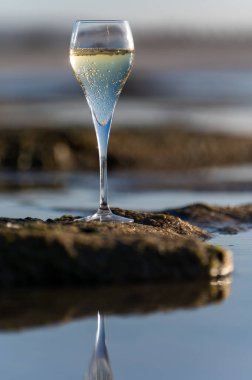 Bir bardak kava ya da şampanya köpüklü şarap, kış tatili, Dunes Corralejo kumsalında gelgit, Fuerteventura, Kanarya Adaları, İspanya