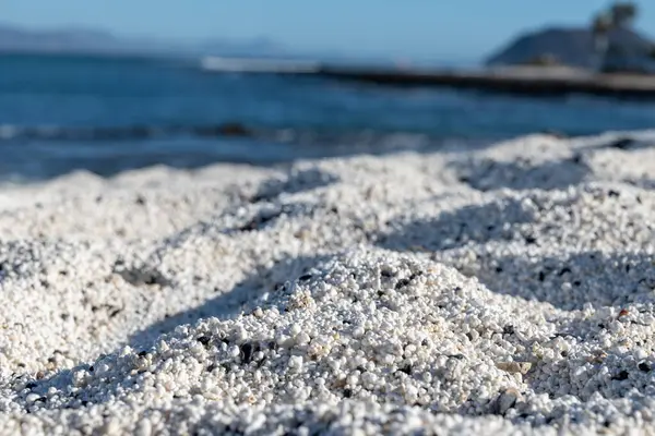 Weiße Popcorn Förmige Korallen Strand Von Corralejo Fuerteventura Kanarische Inseln lizenzfreie Stockbilder