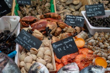 Fransa 'da balık pazarında buzda günlük taze karides, deniz kabuğu, yumuşakça çeşitleri, İngilizce çeviri: farklı Fransız deniz ürünleri isimleri