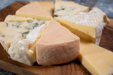 Bir sürü küçük Fransız peyniri ve çeşit çeşit peynirle tatma tabağı.