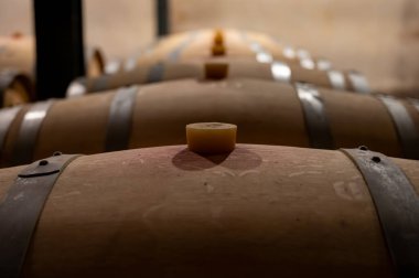 Cabernet Sauvignon üzüm bağlarından üretilen kırmızı şarap fıçıları için Fransız meşe fıçıları, Bordeaux 'daki Haut-Medoc üzüm bağları, Gironde Estuary' nin sol yakası, Pauillac, Fransa