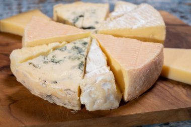 Bir sürü küçük Fransız peyniri ve çeşit çeşit peynirle tatma tabağı.