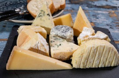 Tasting plate with many small pieces of different French cheeses, variety of cheeses clipart