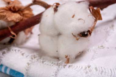 Yumuşak doğal lif mutfak ve organik beyaz pamuk tokalarından yapılmış yatak tekstili.