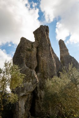 Kışın Lazio, İtalya 'daki Campo Soriano ve zeytin ağaçlarının doğal anısına bakın.