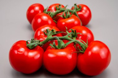 Her mevsim serada yetişen taze Hollanda domatesleri. Hollanda 'da gıda endüstrisi. Kapatın.