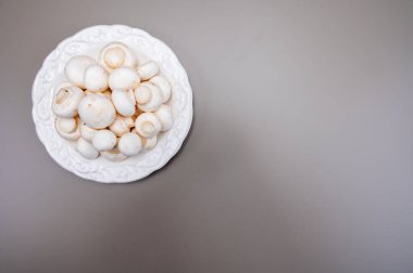 Beyaz şampiyon mantarları taze pişmemiş beyaz seramik plaka fotokopi alanı gri arka planda
