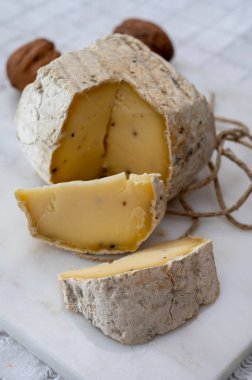 Siyah mantarlı İtalyan mantarlı sert peynirli trüf mantarı.