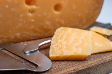 Peynir koleksiyonu, Hollanda 'nın 1000 günlük olgun sert peyniri Hollanda' nın inek sütünden yapılır.