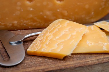 Peynir koleksiyonu, Hollanda 'nın 1000 günlük olgun sert peyniri Hollanda' nın inek sütünden yapılır.