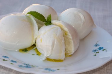 Peynir koleksiyonu, beyaz İtalyan peynirli mozzarella topları zeytin yağı ve taze fesleğen yapraklarıyla servis ediliyor.