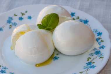 Peynir koleksiyonu, beyaz İtalyan peynirli mozzarella topları zeytin yağı ve taze fesleğen yapraklarıyla servis ediliyor.