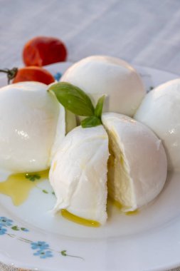 Peynir koleksiyonu, beyaz İtalyan peynirli mozzarella topları zeytin yağı, domates ve taze fesleğen yapraklarıyla servis ediliyor.