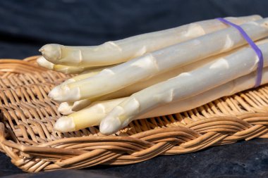 Hollanda 'da yeni beyaz kuşkonmaz hasadı, taze toplanmış kuşkonmaz sebzeleri ve arka planda siyah plastikle kaplı tarla