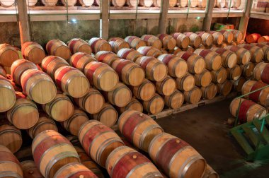 Yeraltı mahzeninde yıllanmış kırmızı şarap için Fransız meşe fıçıları, Saint-Emilion şarap toplama bölgesi, cru sınıfı Merlot veya Cabernet Sauvignon kırmızı şarap üzümleri, Fransa, harika Bordeaux şarapları.