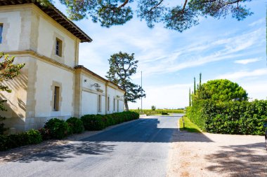 Pomerol köyündeki üzüm hasadı, kırmızı Bordeaux şarabı üretimi, Merlot veya Cabernet Sauvignon üzümleri Pomerol 'daki cru sınıfı üzüm bağlarında, Saint-Emilion şarap üretim bölgesi, Fransa, Bordeaux
