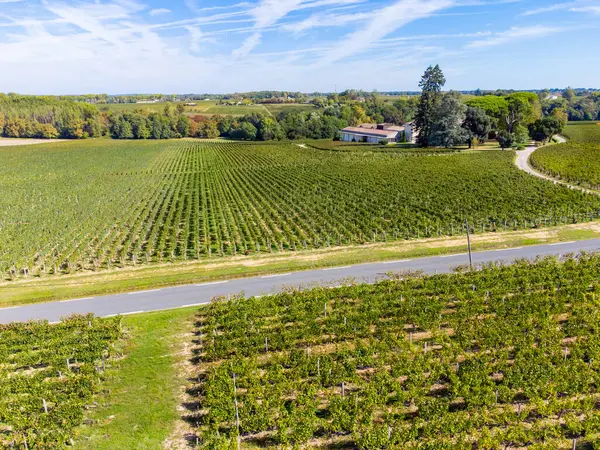 Aerial view on Pomerol village, production of red Bordeaux wine, Merlot or Cabernet Sauvignon red wine grapes on cru class vineyards in Pomerol, Saint-Emilion wine making region, France, Bordeaux