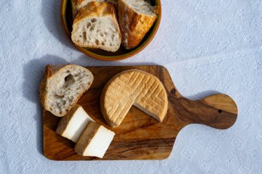 Peynir koleksiyonu, taze tütsülenmiş İspanyol keçi peyniri.