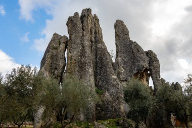 Kışın Lazio, İtalya 'daki Campo Soriano ve zeytin ağaçlarının doğal anısına bakın.