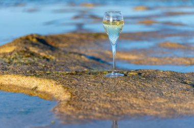Bir bardak kava ya da şampanya köpüklü şarap, kış tatili, Dunes Corralejo kumsalında gelgit, Fuerteventura, Kanarya Adaları, İspanya