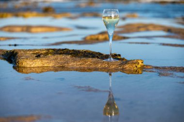 Bir bardak kava ya da şampanya köpüklü şarap, kış tatili, Dunes Corralejo kumsalında gelgit, Fuerteventura, Kanarya Adaları, İspanya