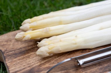 Bahar mevsimi, yeni Hollanda hasadı, Alman beyaz kuşkonmazı, bir sürü çiğ yıkanmış beyaz kuşkonmaz ve arka planda yeşil çimen.