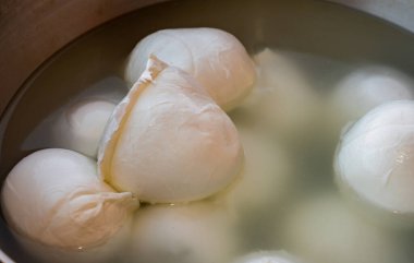 Peynir koleksiyonu, beyaz İtalyan peynirli mozzarella topları zeytin yağı ve taze fesleğen yapraklarıyla servis ediliyor.