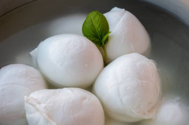 Peynir koleksiyonu, bir sürü taze İtalyan peynirli mozzarella topları, organik peynir çiftliğinde, Latin, İtalya