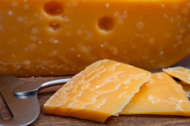 Peynir koleksiyonu, Hollanda 'nın 1000 günlük olgun sert peyniri Hollanda' nın inek sütünden yapılır.