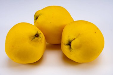 Olgun sarı ayva elmaları grubu beyaz arkaplanı izole ediyor.