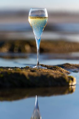 Bir bardak kava ya da şampanya köpüklü şarap, kış tatili, Dunes Corralejo kumsalında gelgit, Fuerteventura, Kanarya Adaları, İspanya