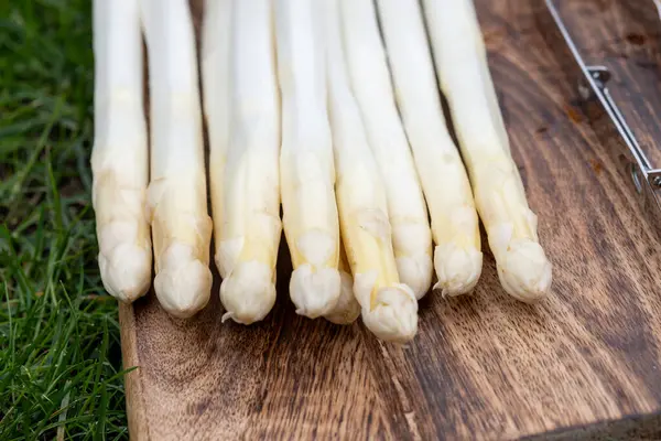 Bahar mevsimi, yeni Hollanda hasadı, Alman beyaz kuşkonmazı, bir sürü çiğ yıkanmış beyaz kuşkonmaz ve arka planda yeşil çimen.