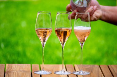 Yeşil çimenler üzerinde piknik, güllü şampanya bardakları, köpüklü şarap veya kava, Marne Nehri 'ndeki mağaralarda geleneksel yöntemle üretilen kremant, Fransa' nın Şampanya Bölgesi,