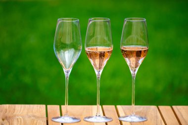 Picnic on green grass with glasses of rose champagne sparkling wine or cava, cremant produced by traditional method in caves on Marne river, Champagne region, France clipart