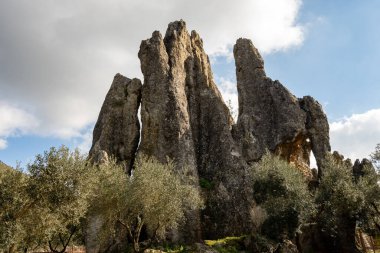 Kışın Lazio, İtalya 'daki Campo Soriano ve zeytin ağaçlarının doğal anısına bakın.